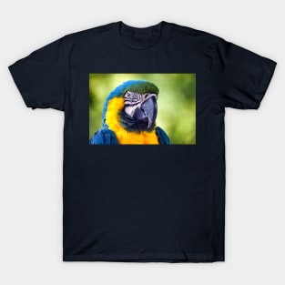 Macaw Parrot T-Shirt